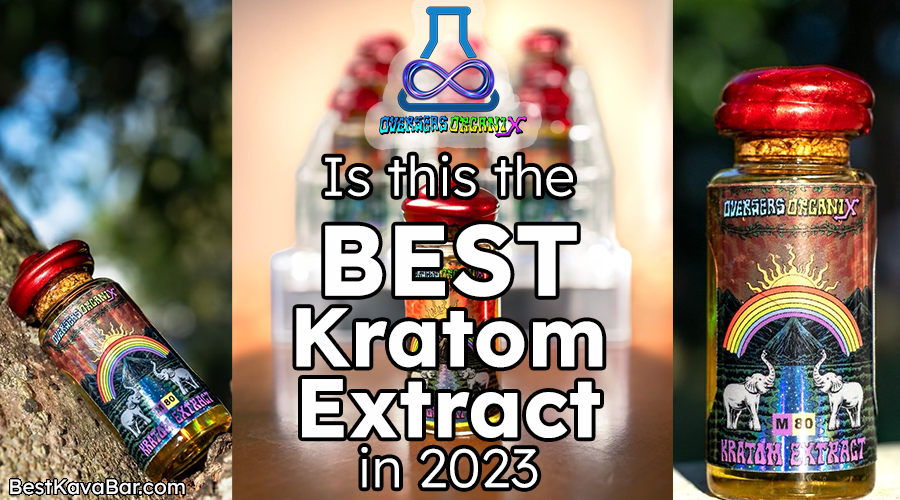 Overseas Organix – Is this the best Kratom extract in 2023?