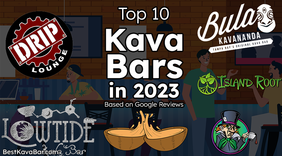Top 10 Kava Bars in America in 2023 (based on Google)